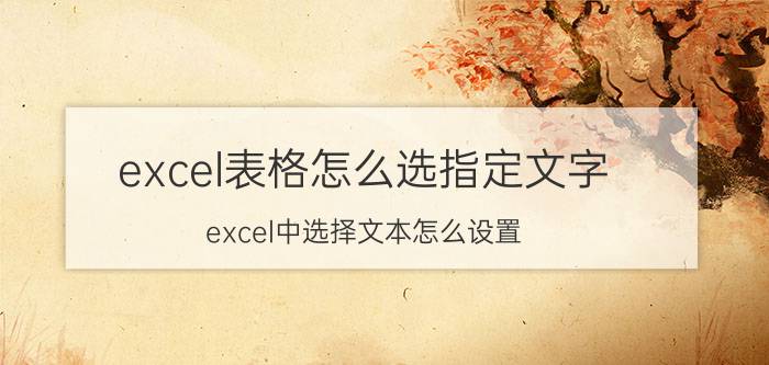 excel表格怎么选指定文字 excel中选择文本怎么设置？